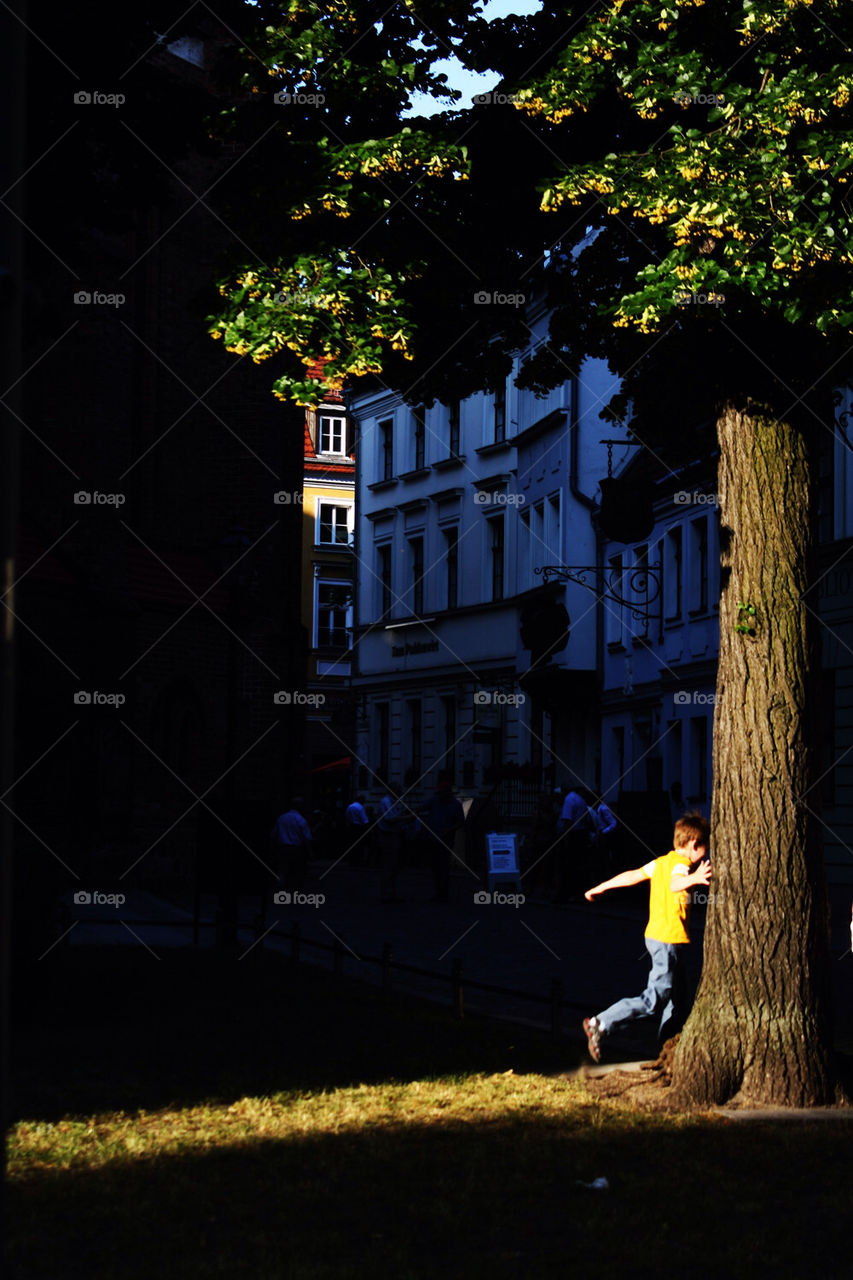 summer tree sun fun by mayak