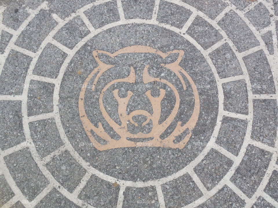 bear print on brick pavement design