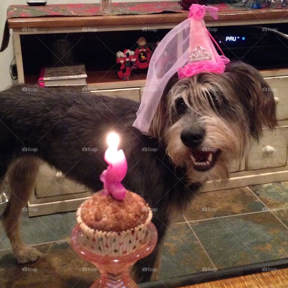 Franny's 2nd Anniversary