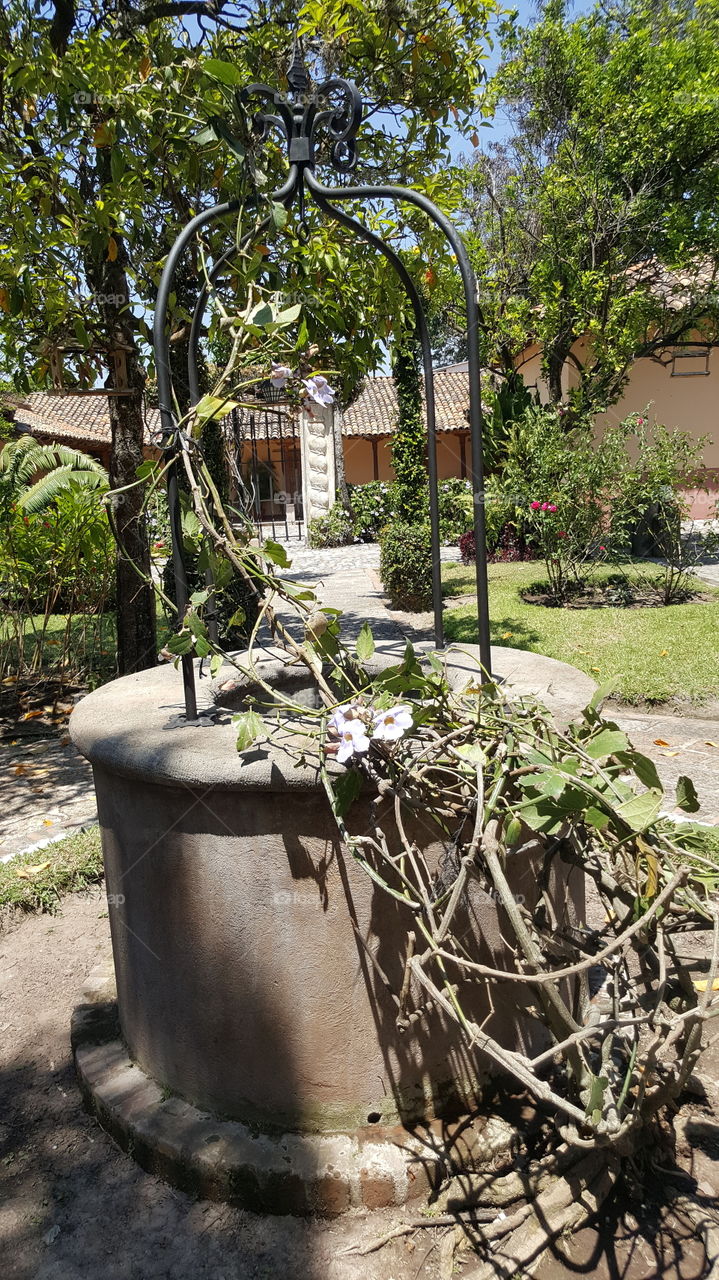 Pozo en patio central