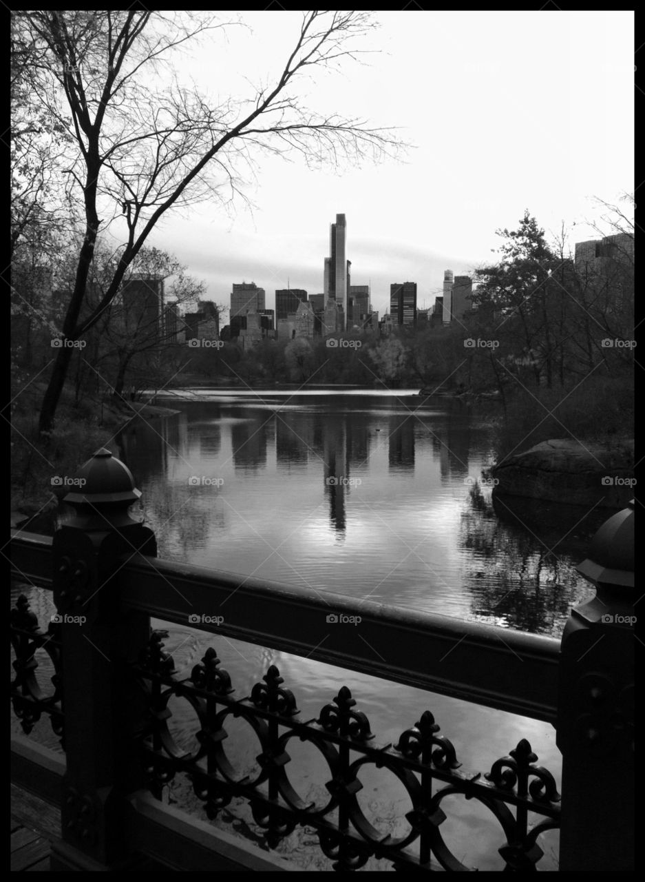 Central Park. NYC 