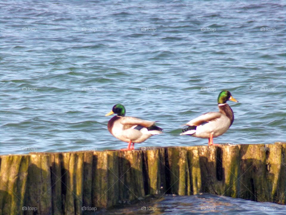Ein schöner Tag am Meer