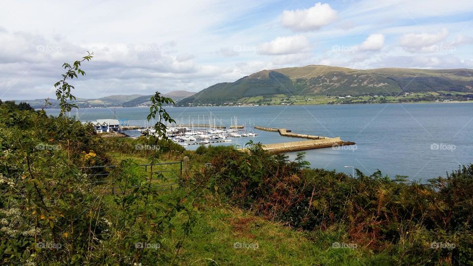Little harbour in Carlingford Lough in Ireland