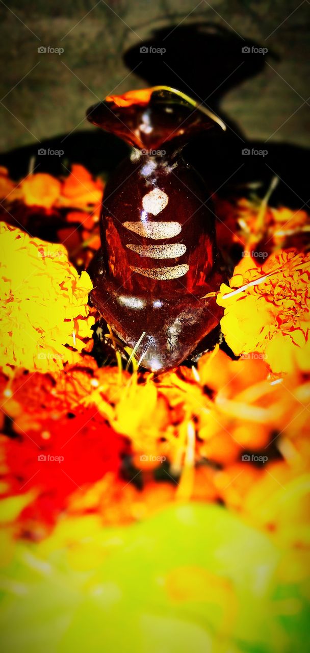 ꧁༒महादेव★༒࿐