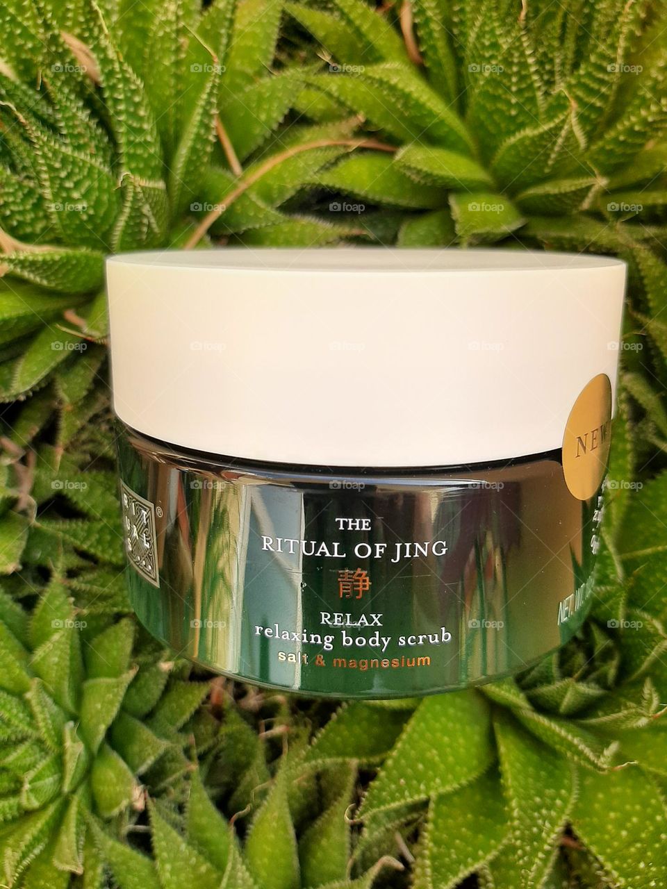 A Ritual of Body & Mind