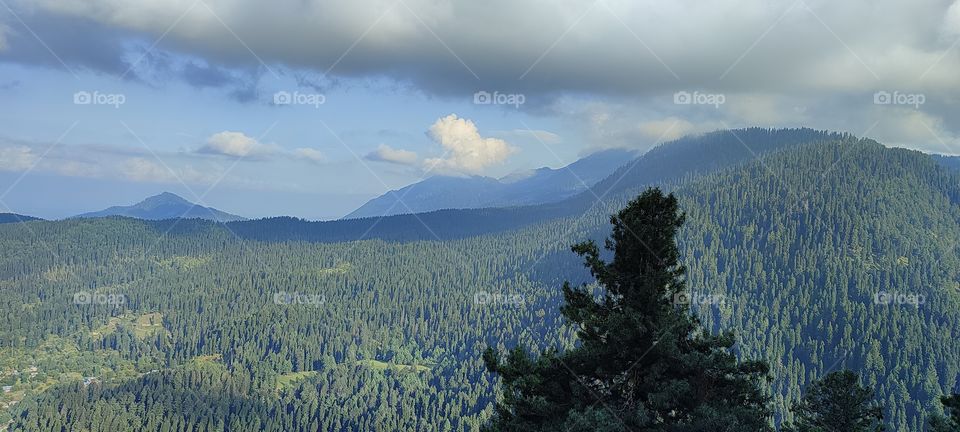 Above up view coom and beay view clean and fresh environment atmosphere natural beauty greenery amazing forests 
📸 Muneeb bhat