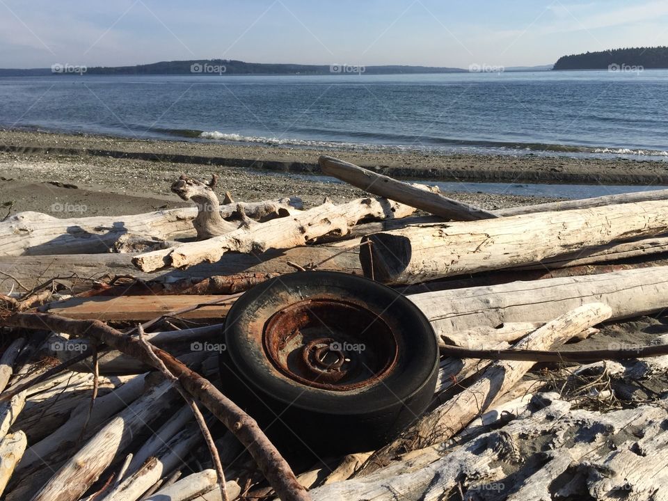 Beach Beauty & The Beast. Old Rusty Tire on Driftwood