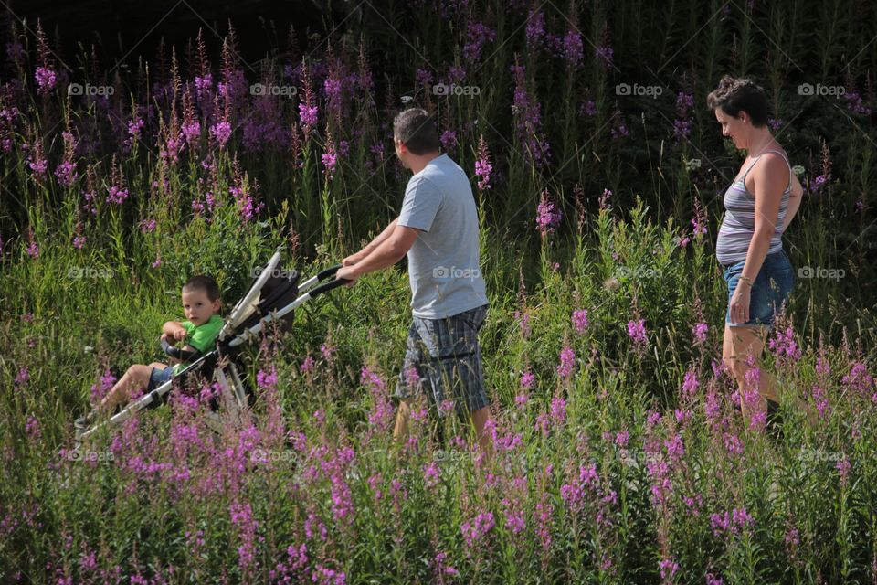 Walking The Child. Parents walking their child in baby carriage.