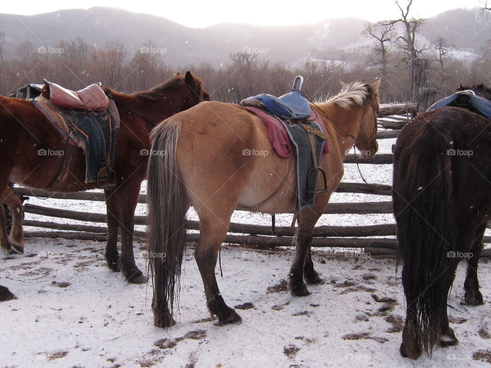 snow sky blue park by thepapierdollies