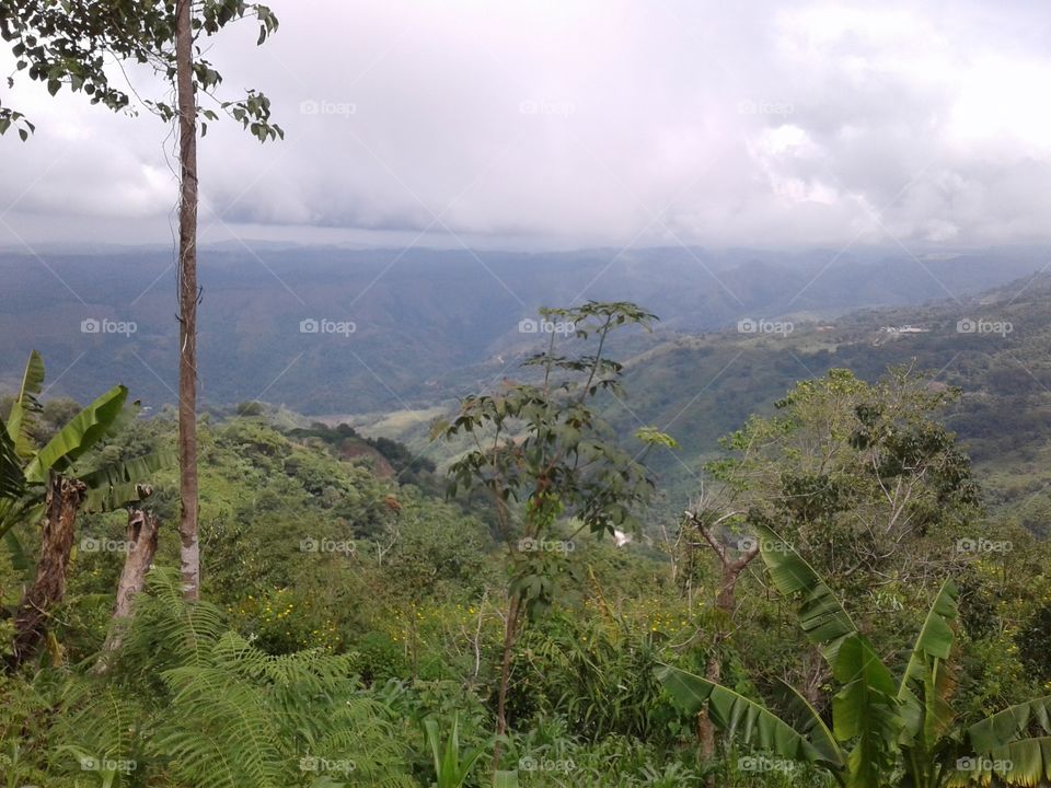 overlooking mountain side view, lonely tree, skyhigh mountain
