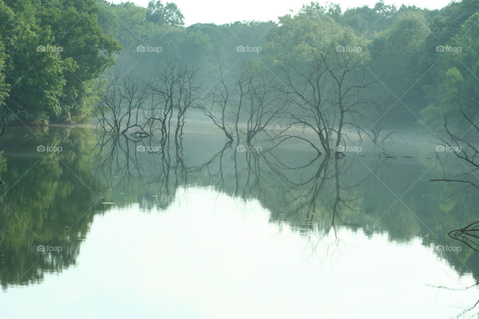 Reflection in the lake