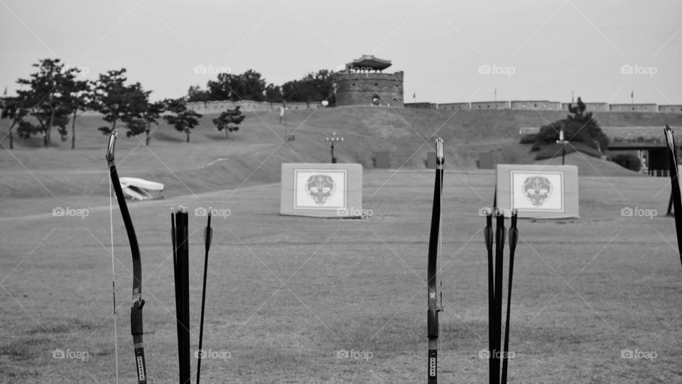 archery field with bow and arrow showing