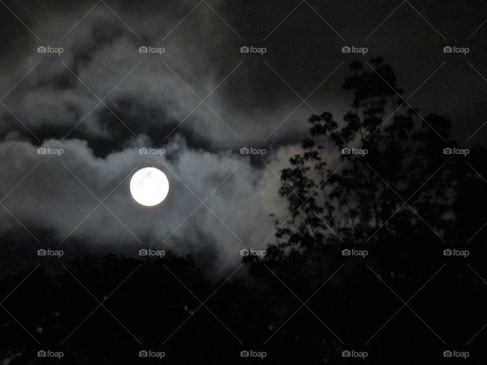cloudy moon