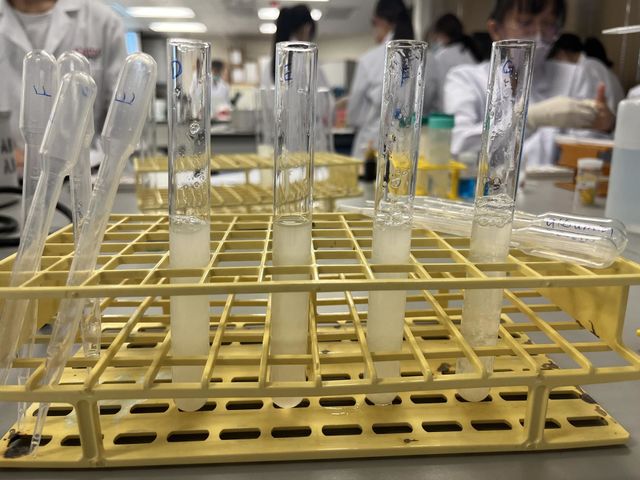 Laboratory 