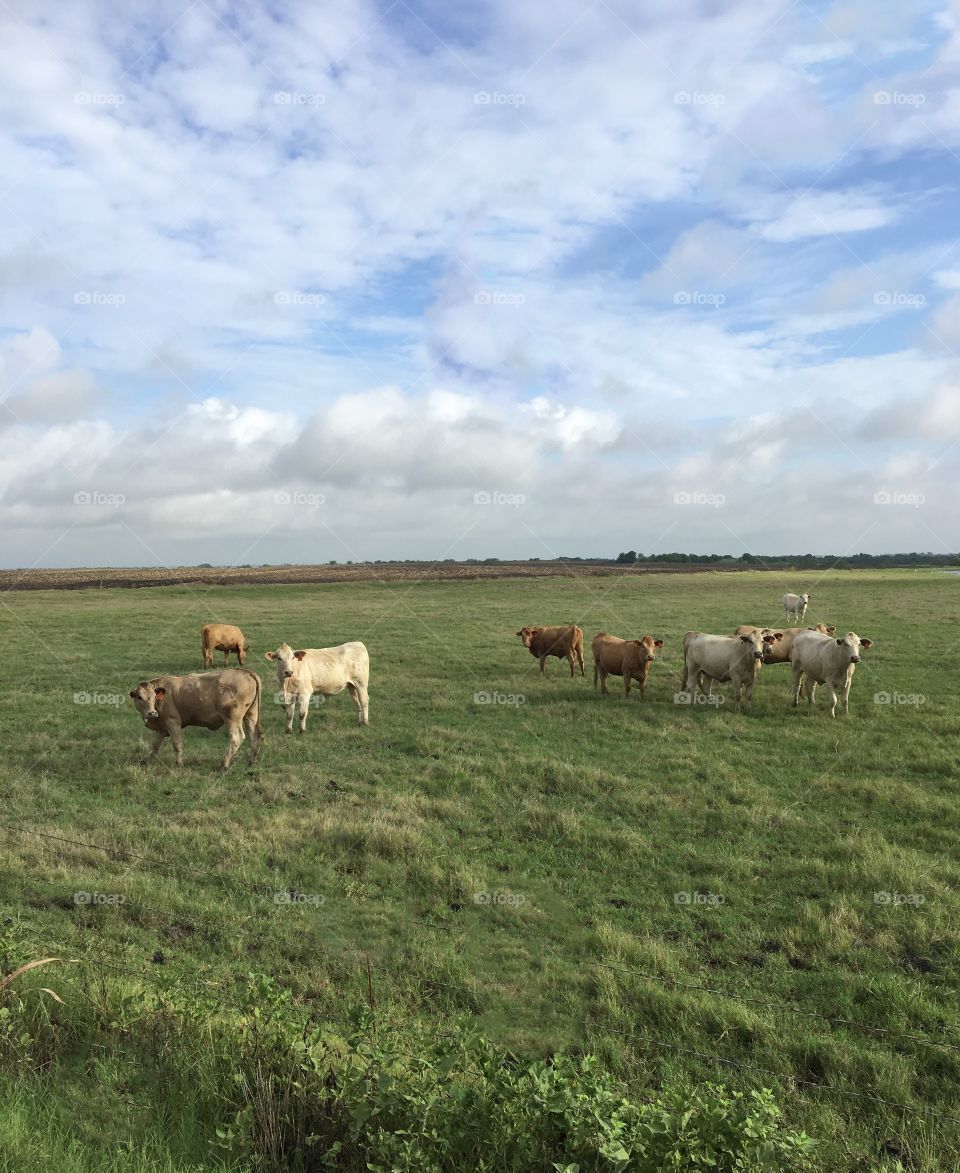 What  are you looking at ?