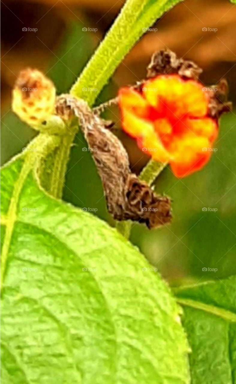 final days days of summer and the withering signs of autumn