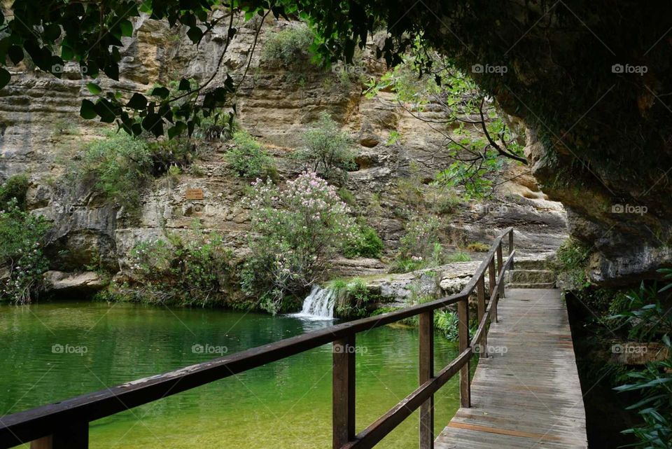 Wood#bridge#lake#nature