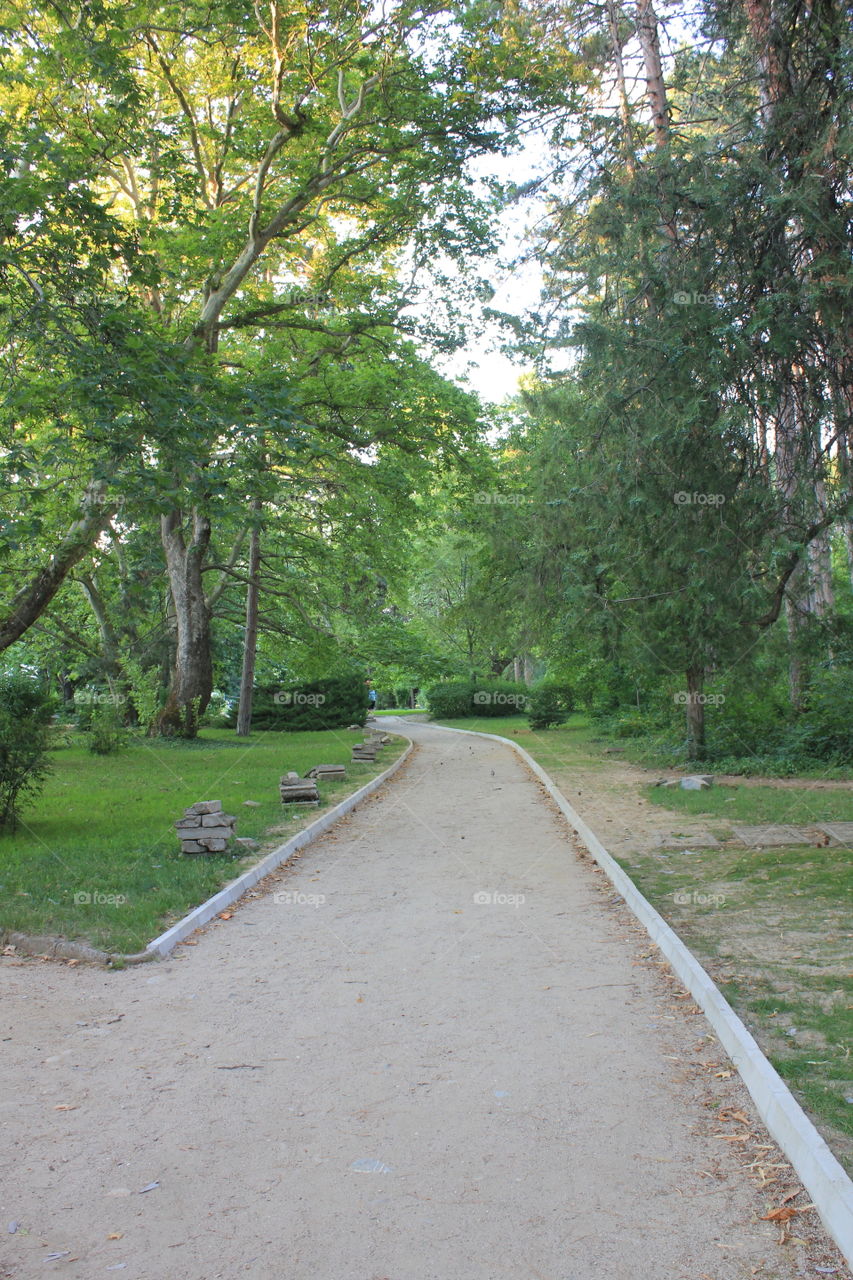 Park