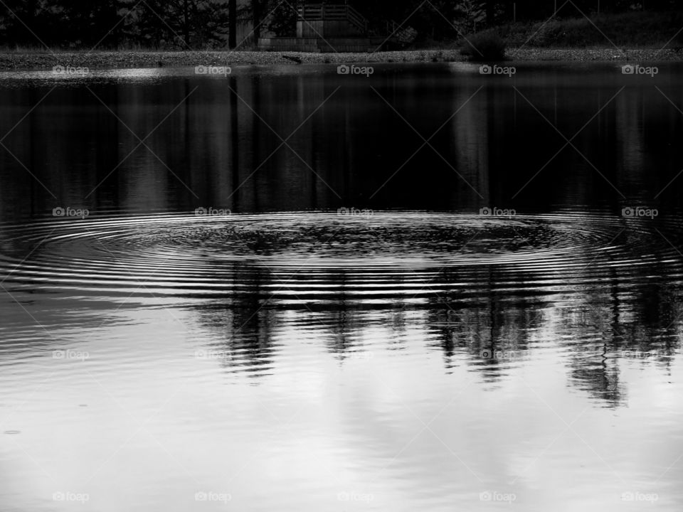 Monochrome photography of a small lake in Ehrwald, Austria.