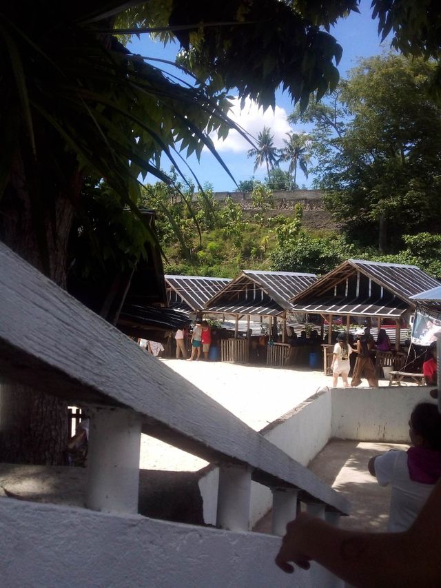 the nature place