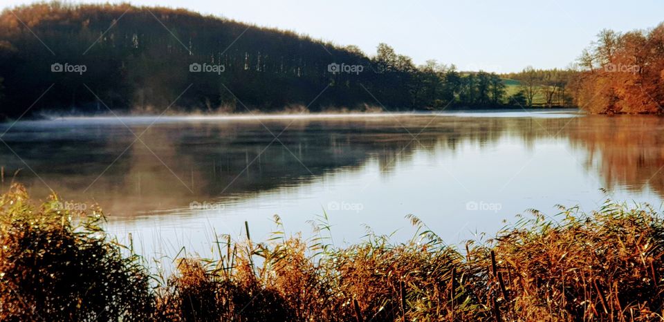 A foggy lake in autumn