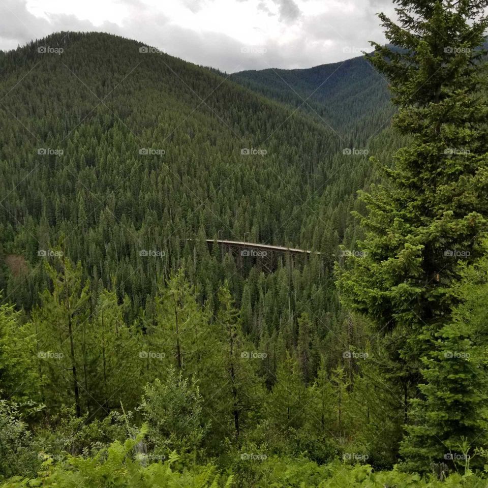 view of railroad trestle in the mountains on a summer hike