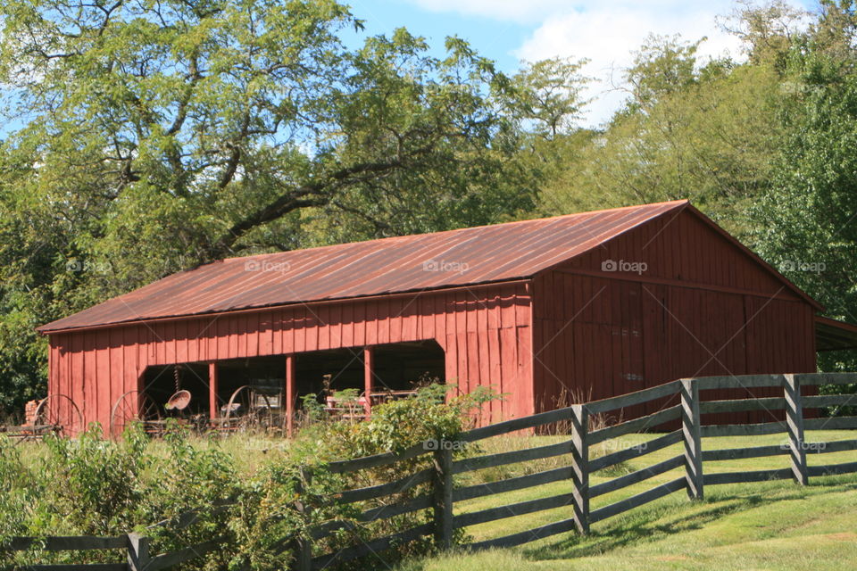 On the Farm