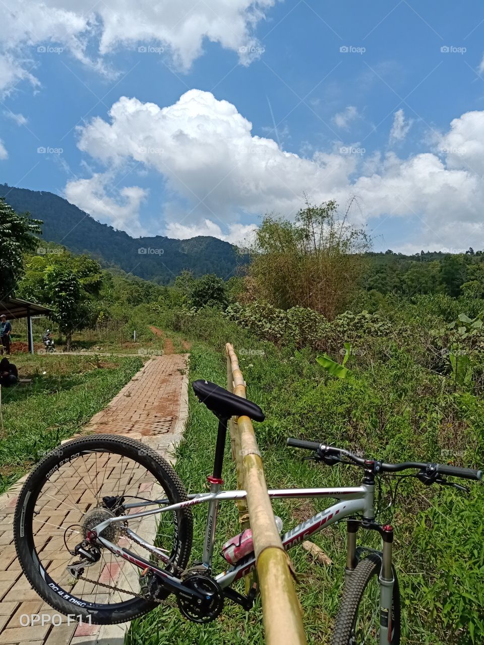 ride on back to nature enjoy natural view