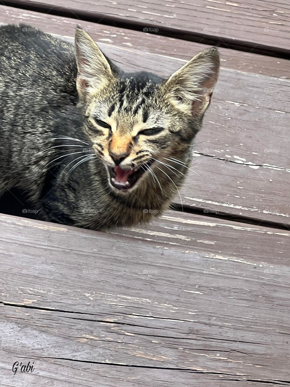 Don’t worry, be happy 😸