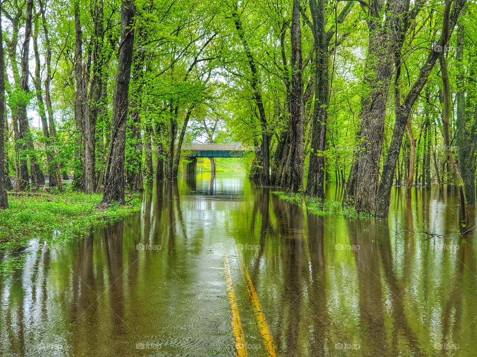 flooded road in tunnel of trees