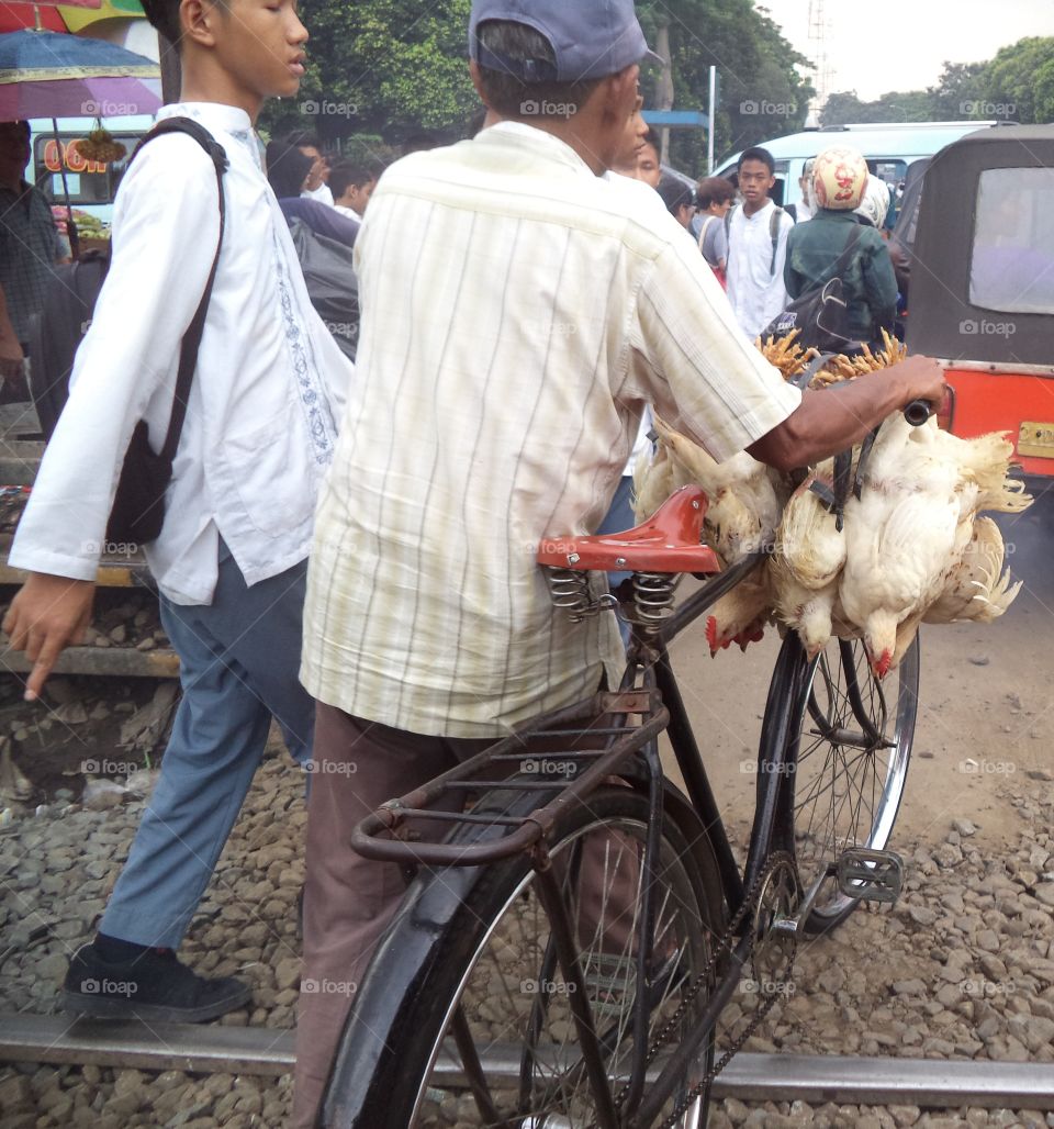 Chicken on the Bike