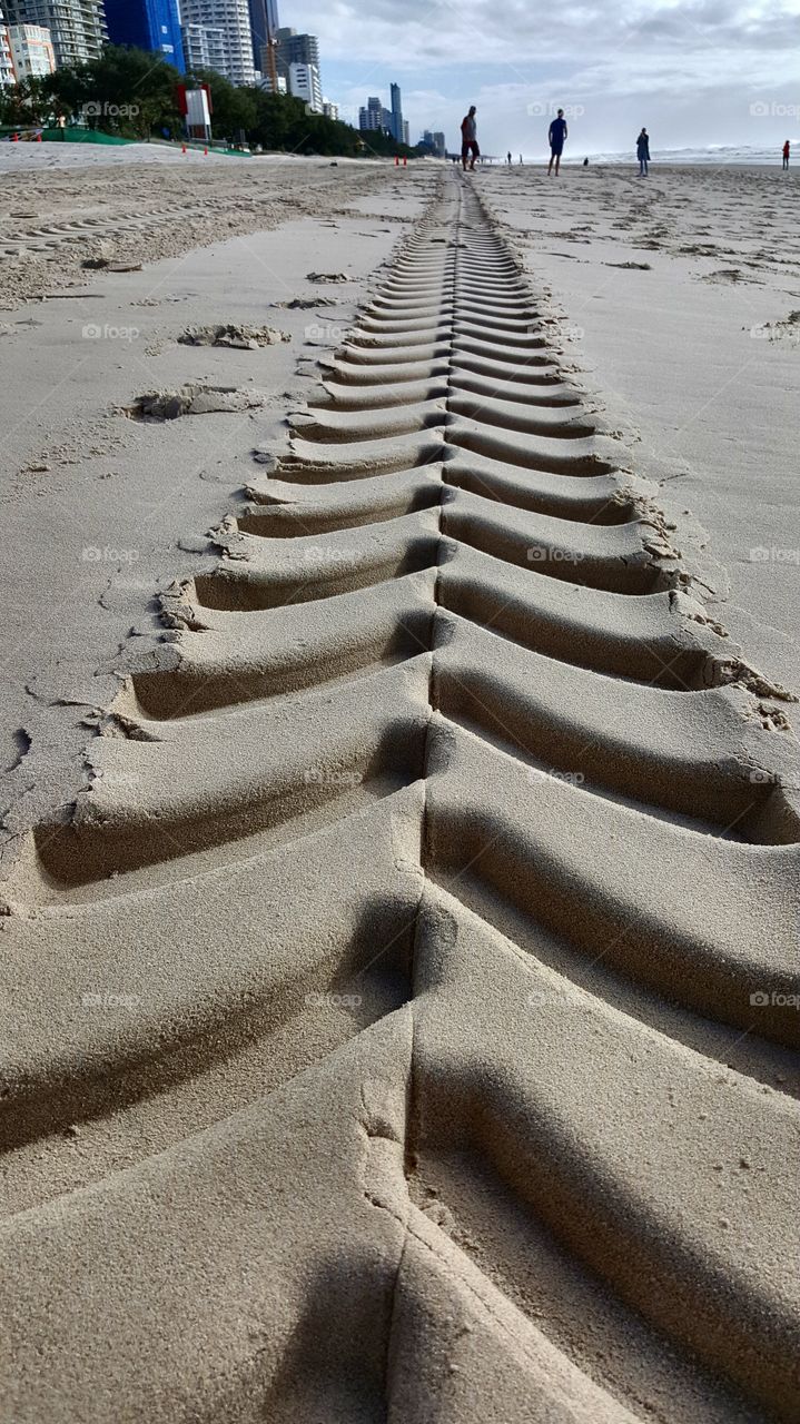 Fine sand makes the best prints!