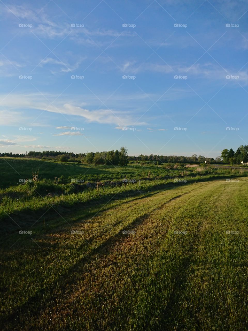 Blue skies and green fields in Cold Lake, Alberta.