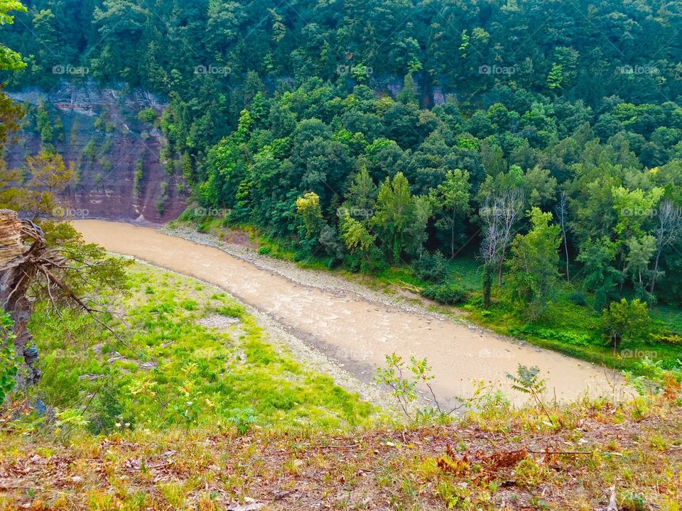 Creek landscape