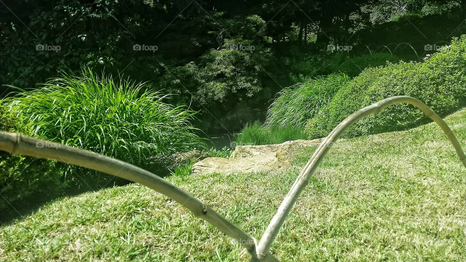 park