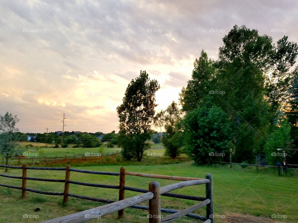 Fence, Grass, No Person, Landscape, Tree