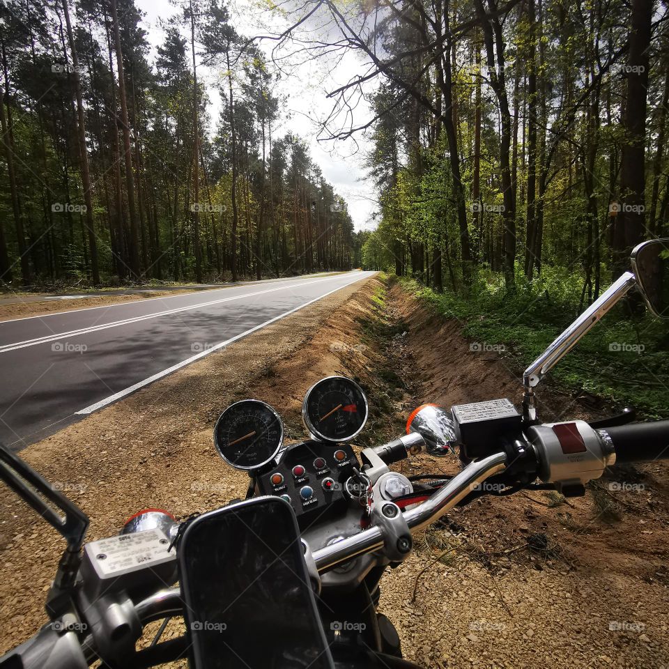 Ride in the forest