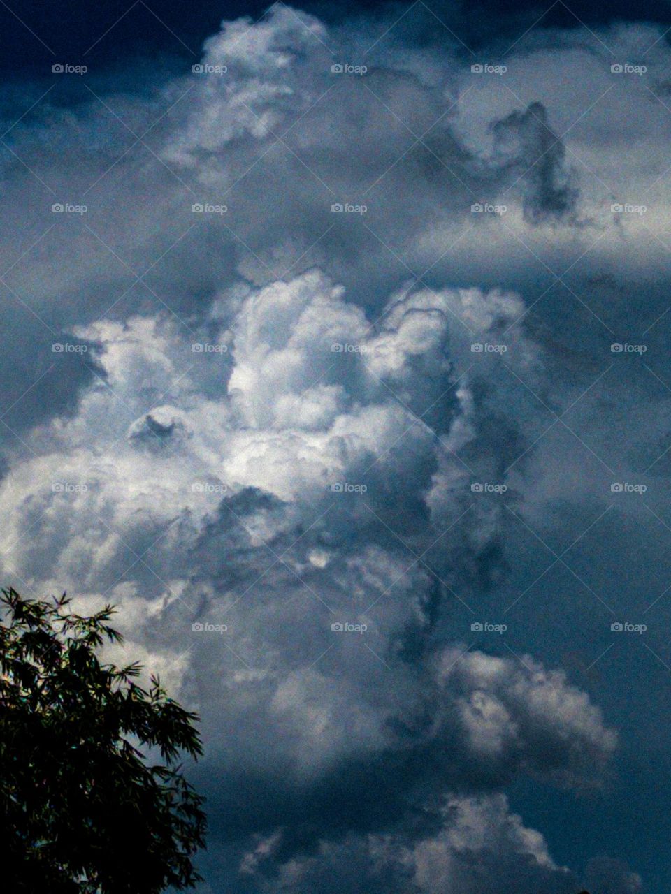 I want to show white clouds and blue sky in this photo.  The sky looks very beautiful with clouds and blue sky.