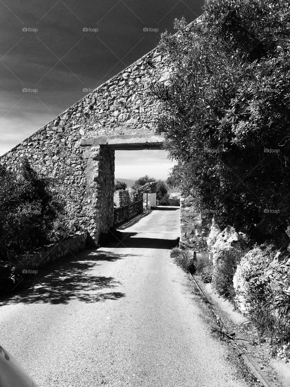 Gibraltar Nature Reserve , black and white photography 