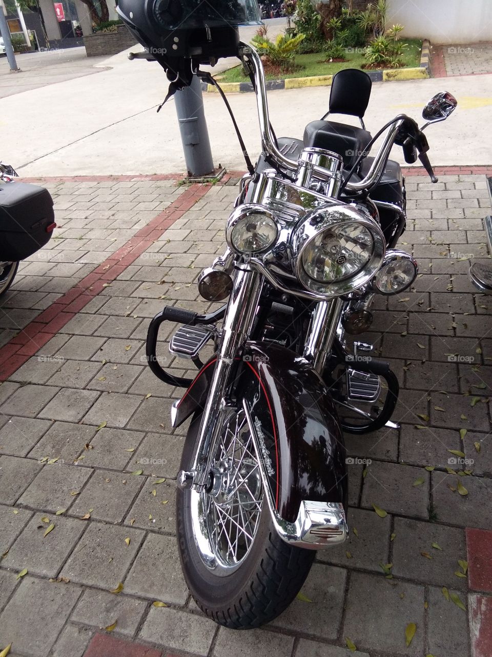 Harleydavidson