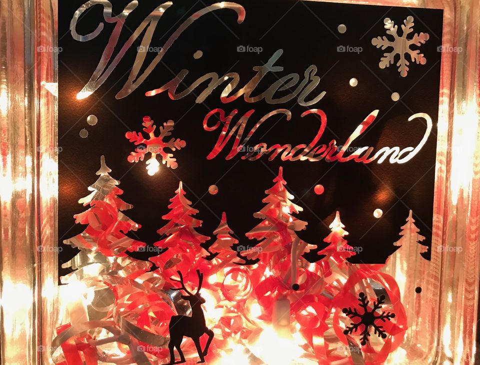 Winter wonderland 