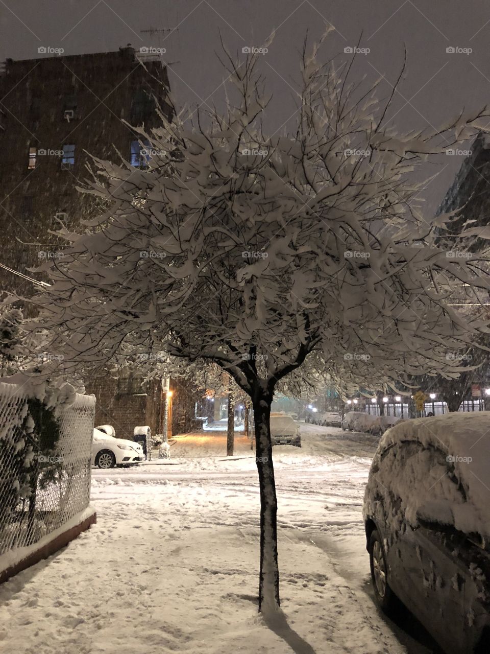 Snowing New York 