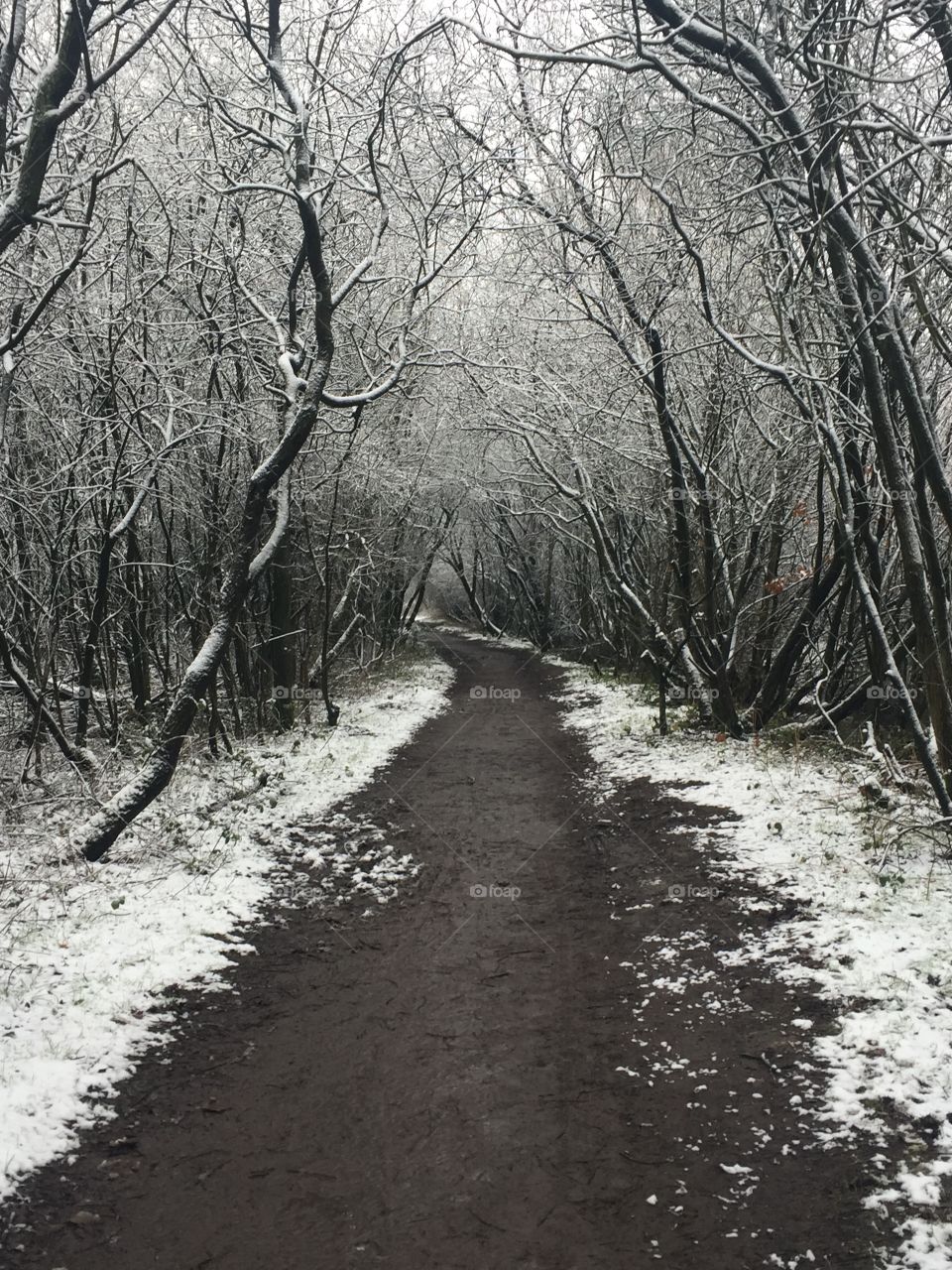 Winters path