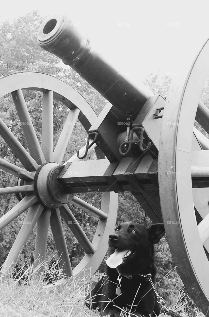 Leesa & the Cannon . At Reed's Bridge Confederate Battleground, Arkansas 