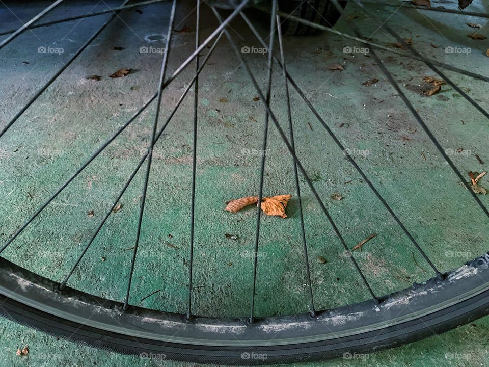 Closeup of spokes on a bicycle tire at green floor