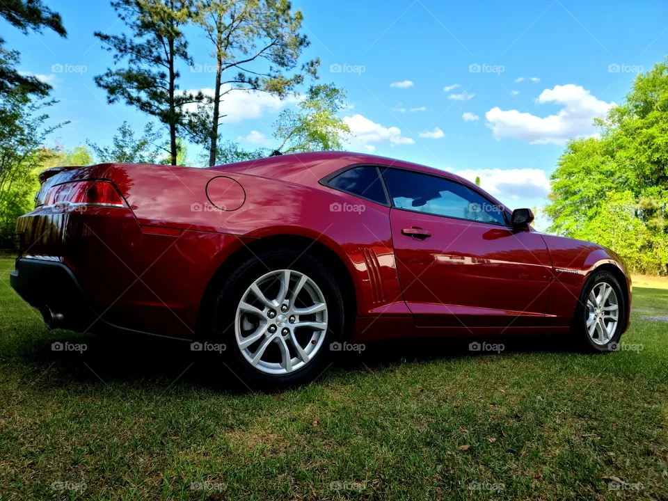 Camaro - Chevrolet