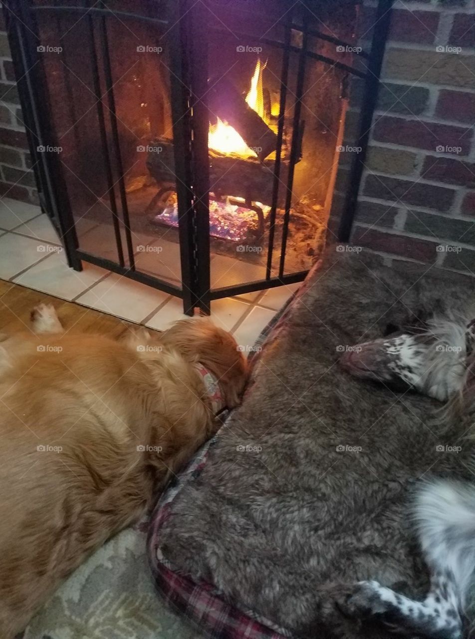 On a cold winters night by the fire!