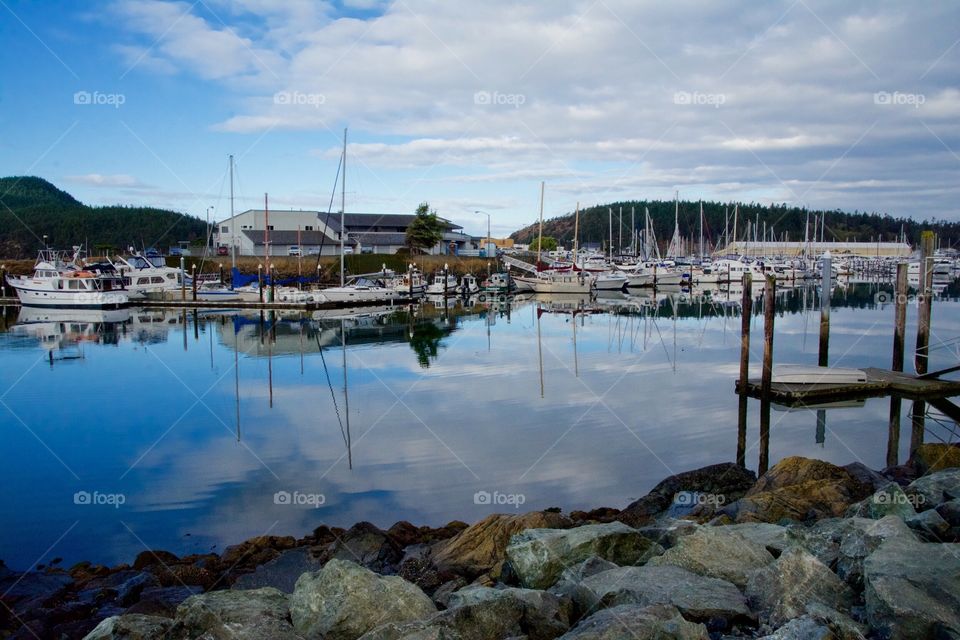 Marina reflection