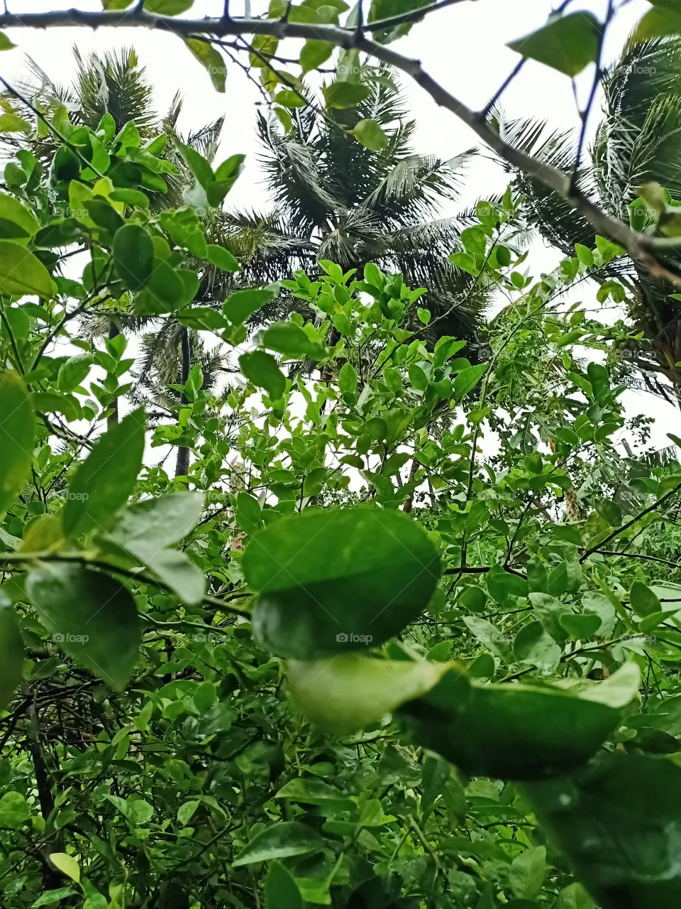 a stormy weather