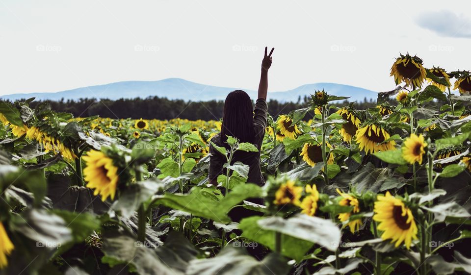 Me and the rest of the world. This sunflower farm caught my attention! Of course, I needed to take a shot! Adding a little touch of mansy in this beautiful field!